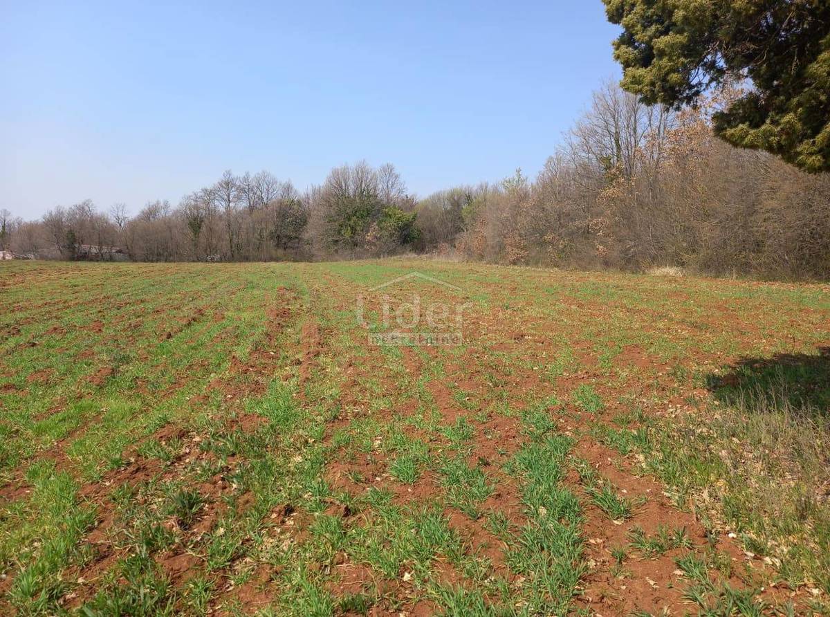 Zemljišče Barban, 6411m2