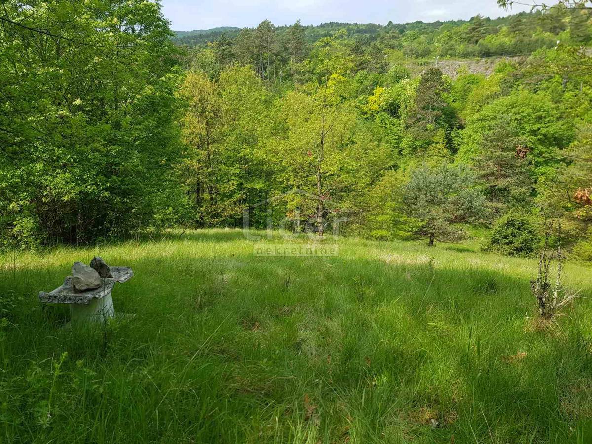 Zemljišče Šapjane, 5755m2