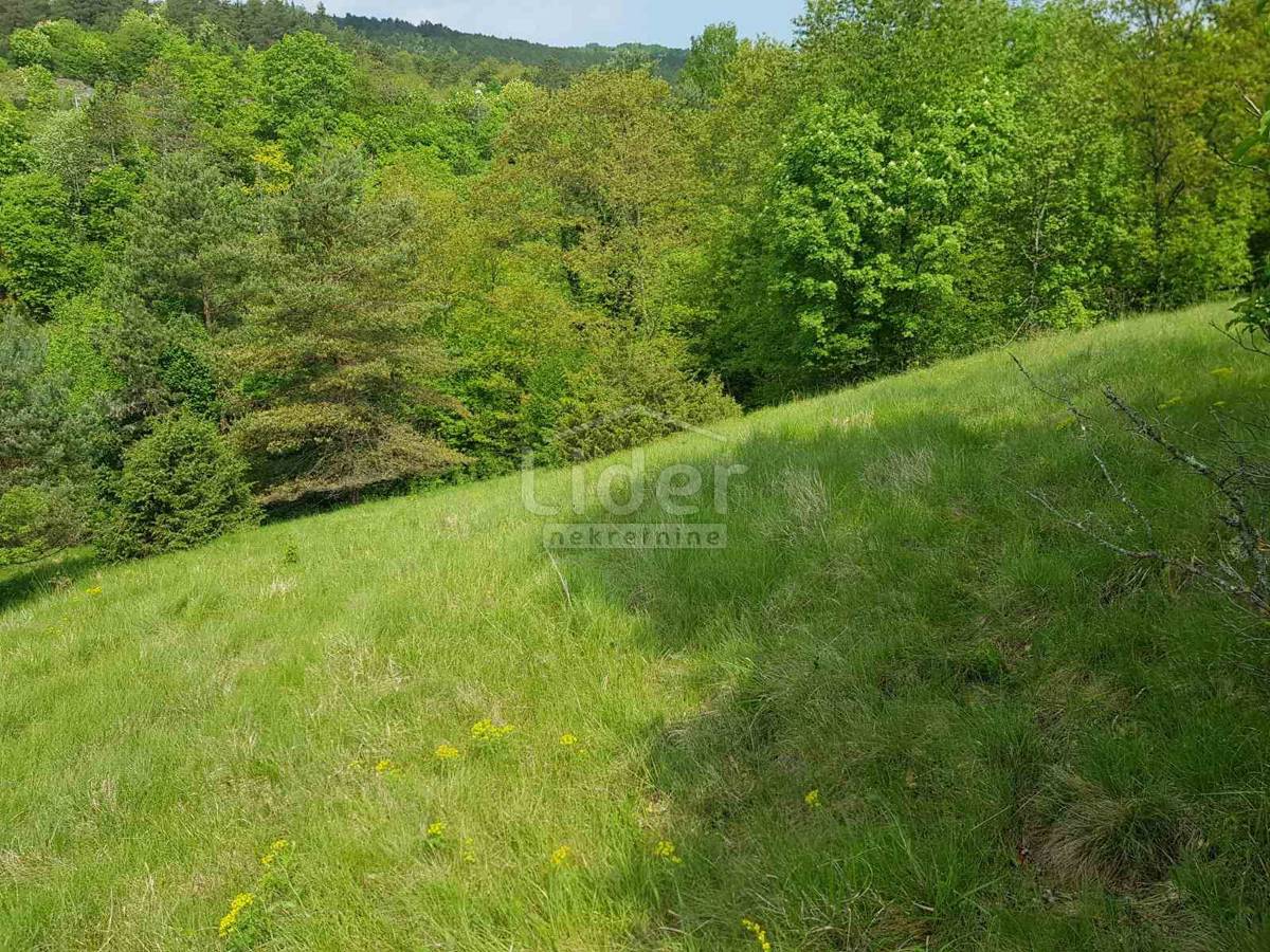 Zemljišče Šapjane, 5755m2