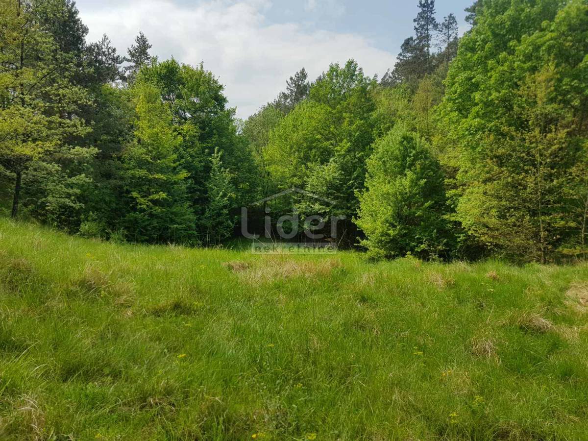 Zemljišče Šapjane, 5755m2