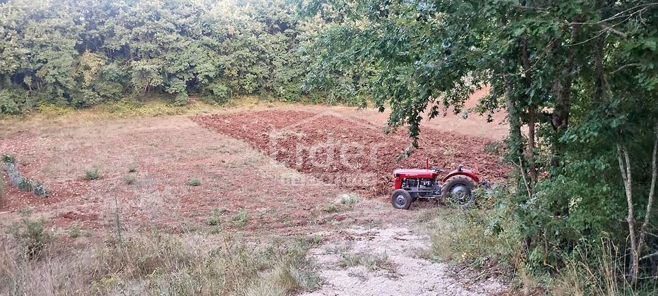 Zemljišče Kranjčići, 27000m2