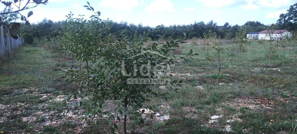 Zemljišče Kranjčići, 27000m2