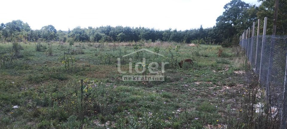 Zemljišče Kranjčići, 27000m2