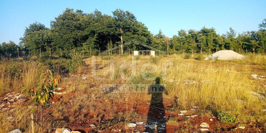 Zemljišče Kranjčići, 27000m2