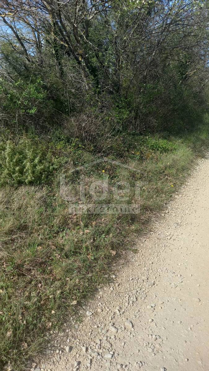 Zemljišče Bibići, 7028m2