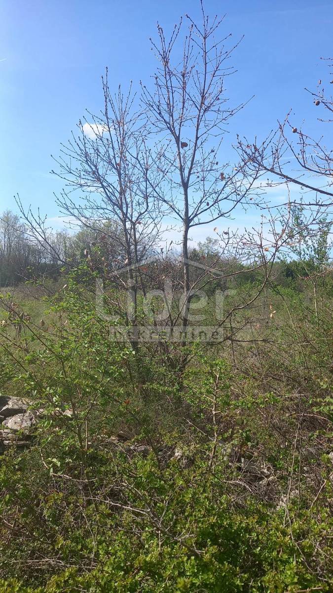 Zemljišče Bibići, 7028m2