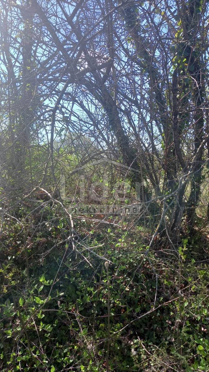 Zemljišče Bibići, 7028m2