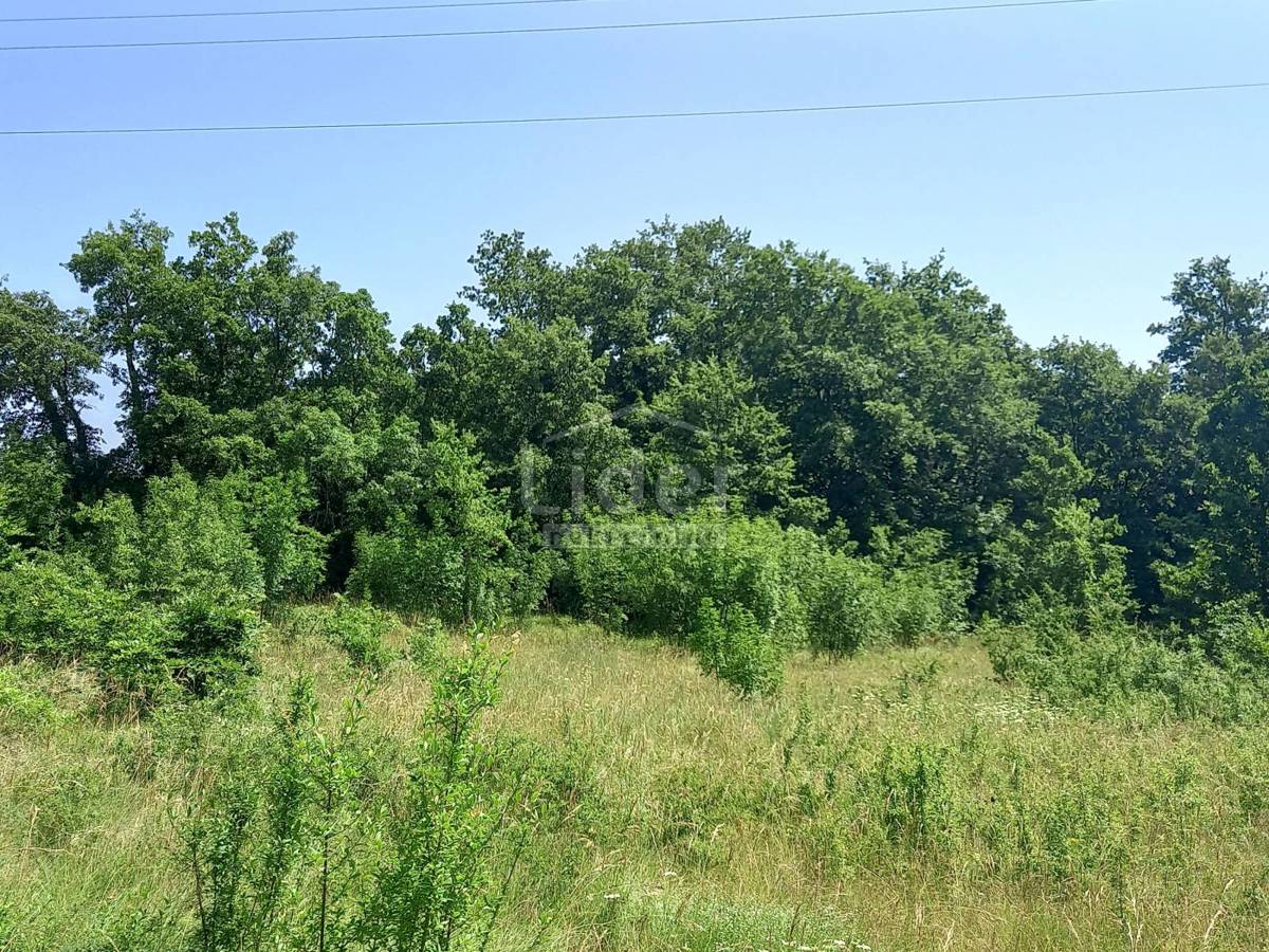 Zemljišče Režanci, 1957m2