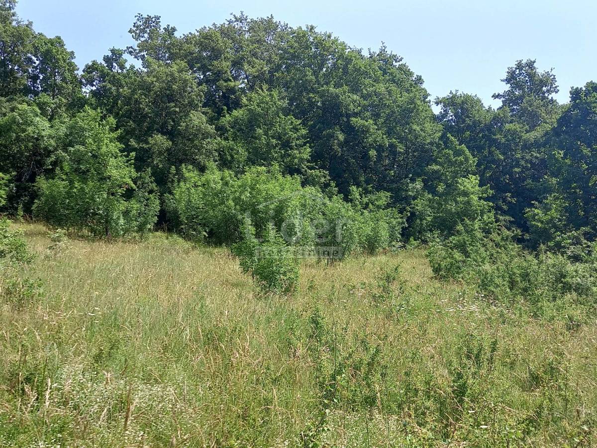 Zemljišče Režanci, 1957m2