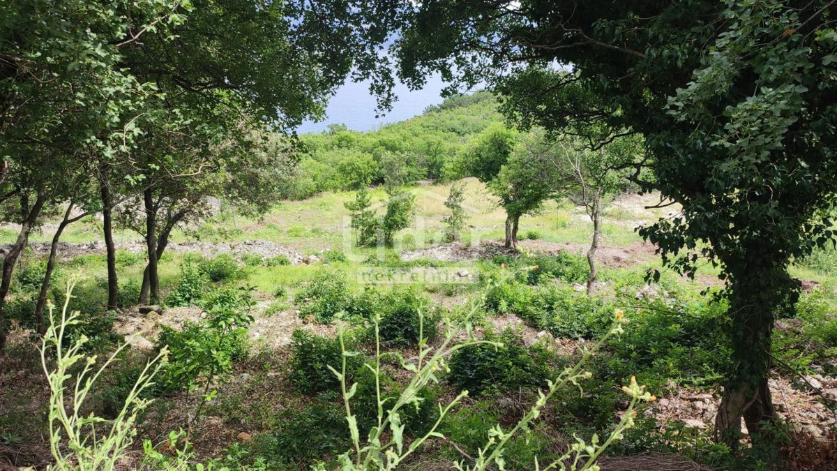 Zemljišče Plomin, 596m2