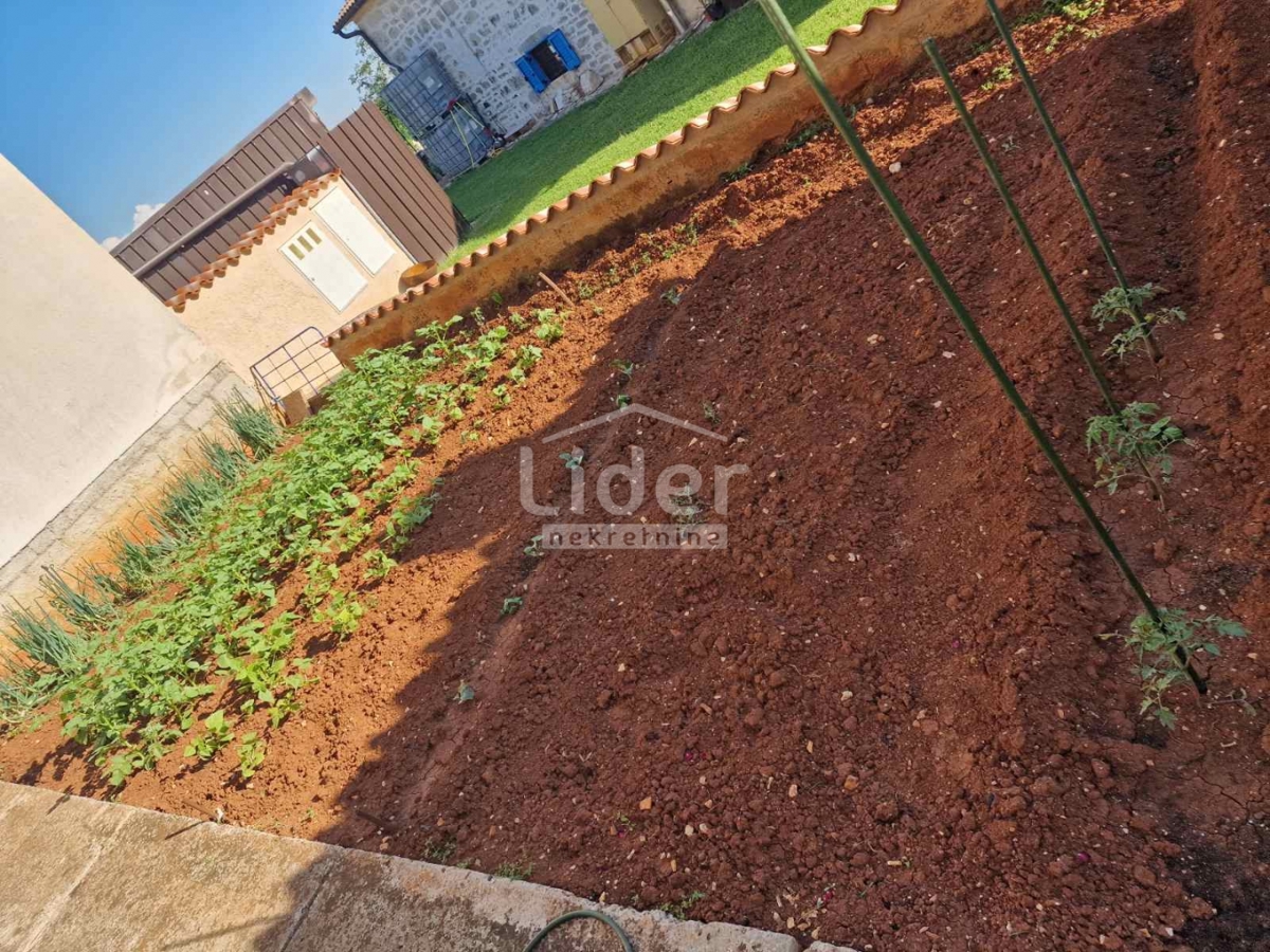 Poslovni prostor Višnjan, 677m2