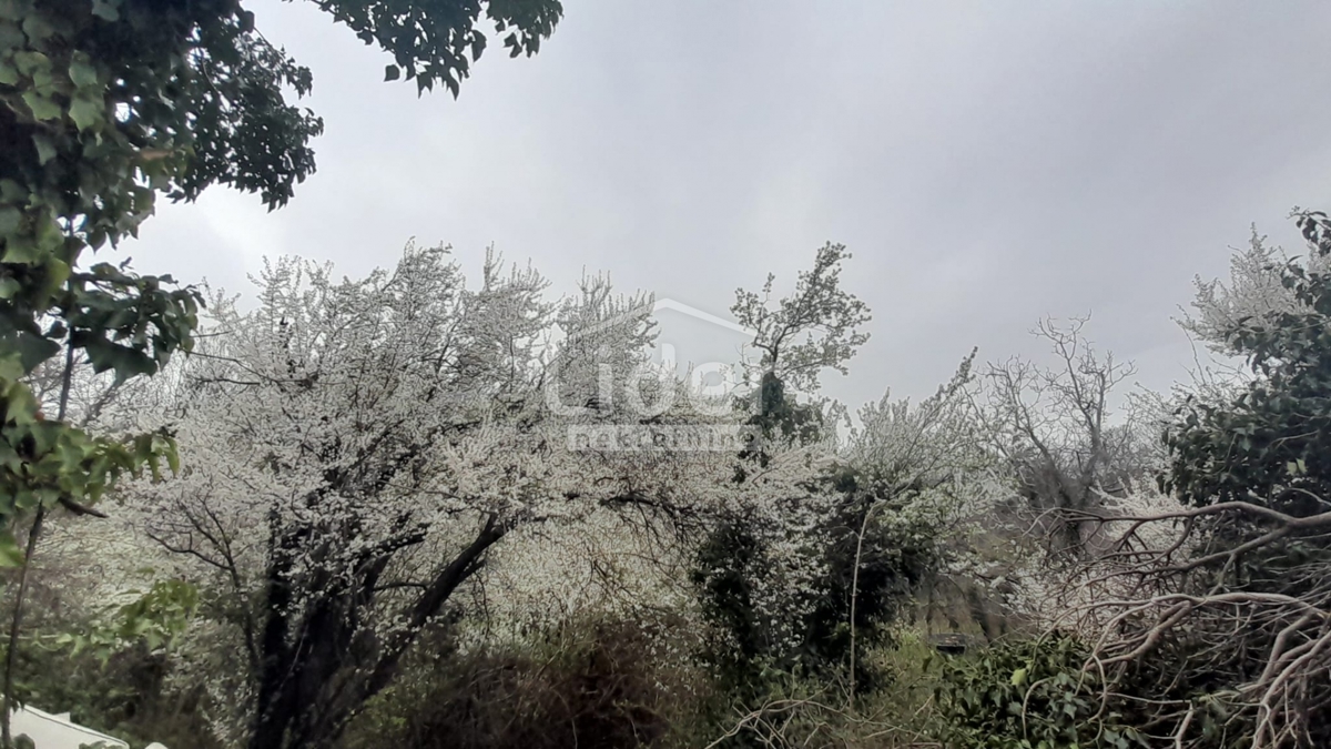 Hiša Hreljin, Bakar, 160m2