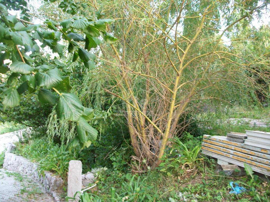 Zemljišče Fužine, 774m2