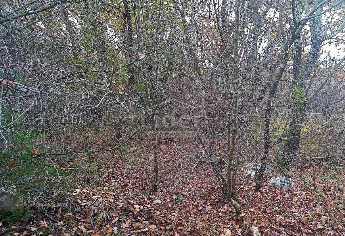 Zemljišče Rovinjsko Selo, 1250m2