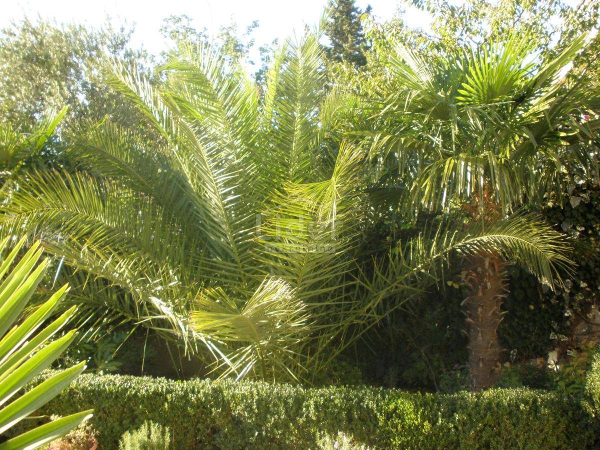 Hiša Crikvenica, 455m2