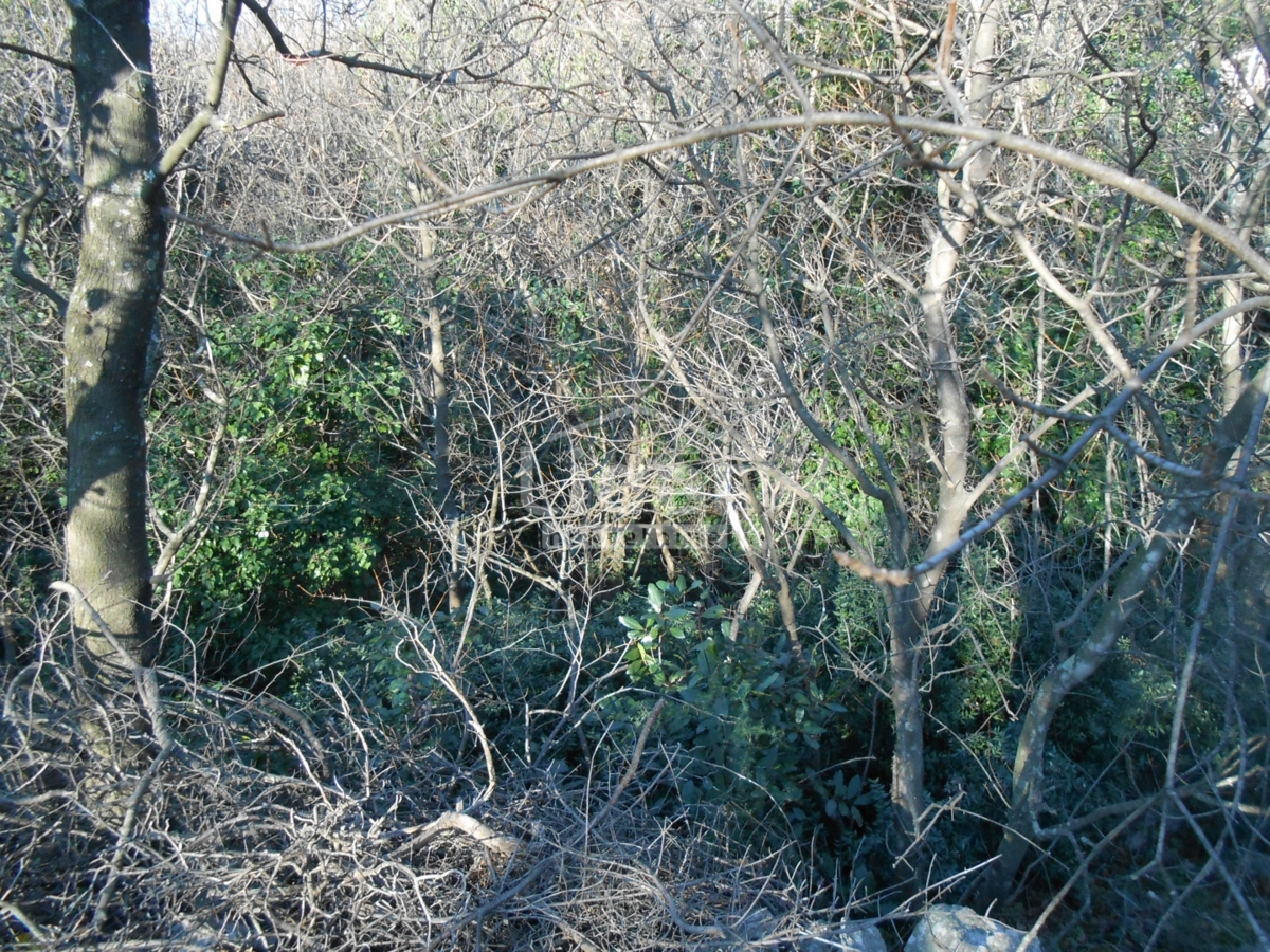 Zemljišče Kraljevica, 1219m2