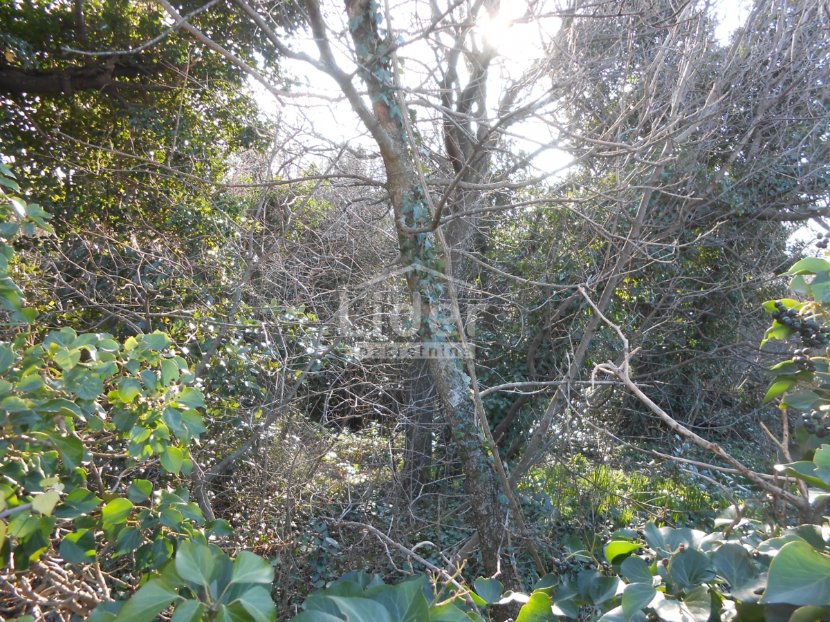 Zemljišče Kraljevica, 1219m2