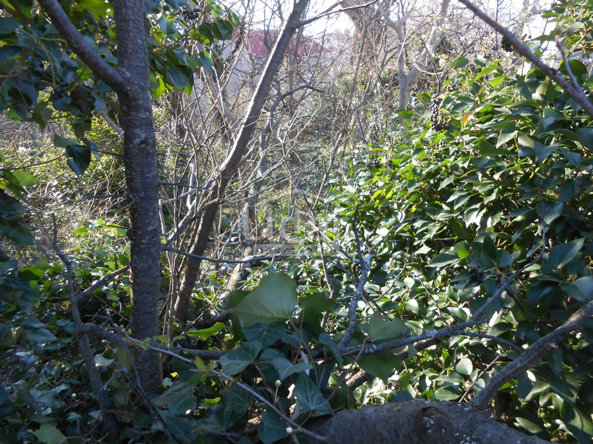 Zemljišče Kraljevica, 1219m2