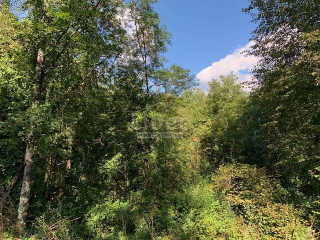 Zemljišče Mali Brgud, 2587m2