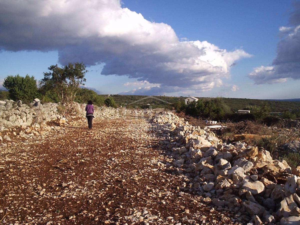 Zemljišče Novalja, 20272m2