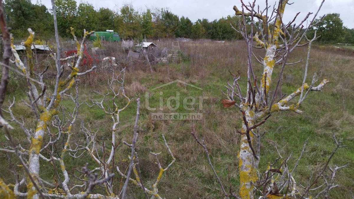 Zemljišče Tomišići, 5320m2