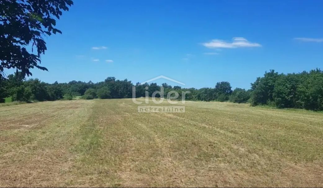 Zemljišče Zabrežani, 20000m2