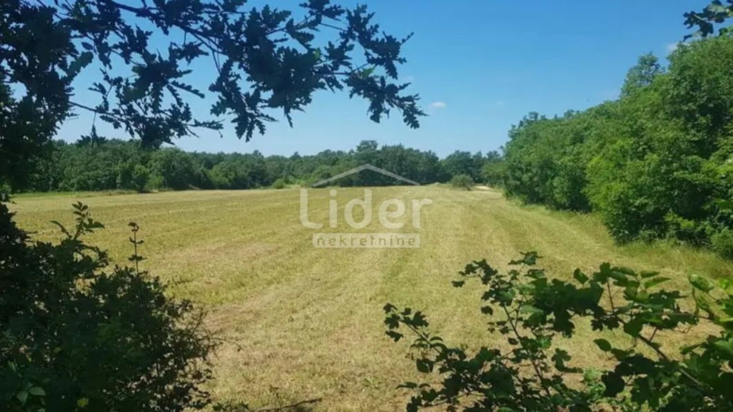 Zemljišče Zabrežani, 20000m2