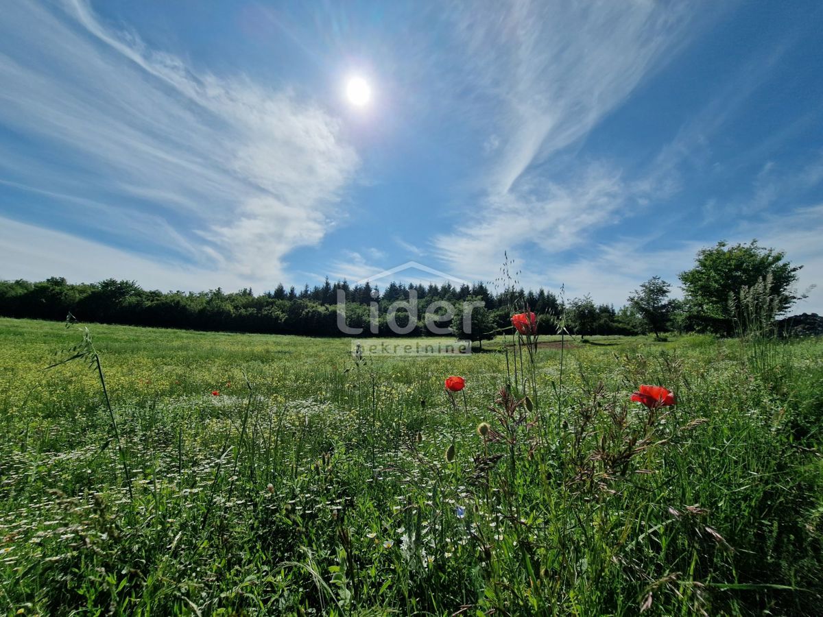 Zemljišče Markovići, 10858m2