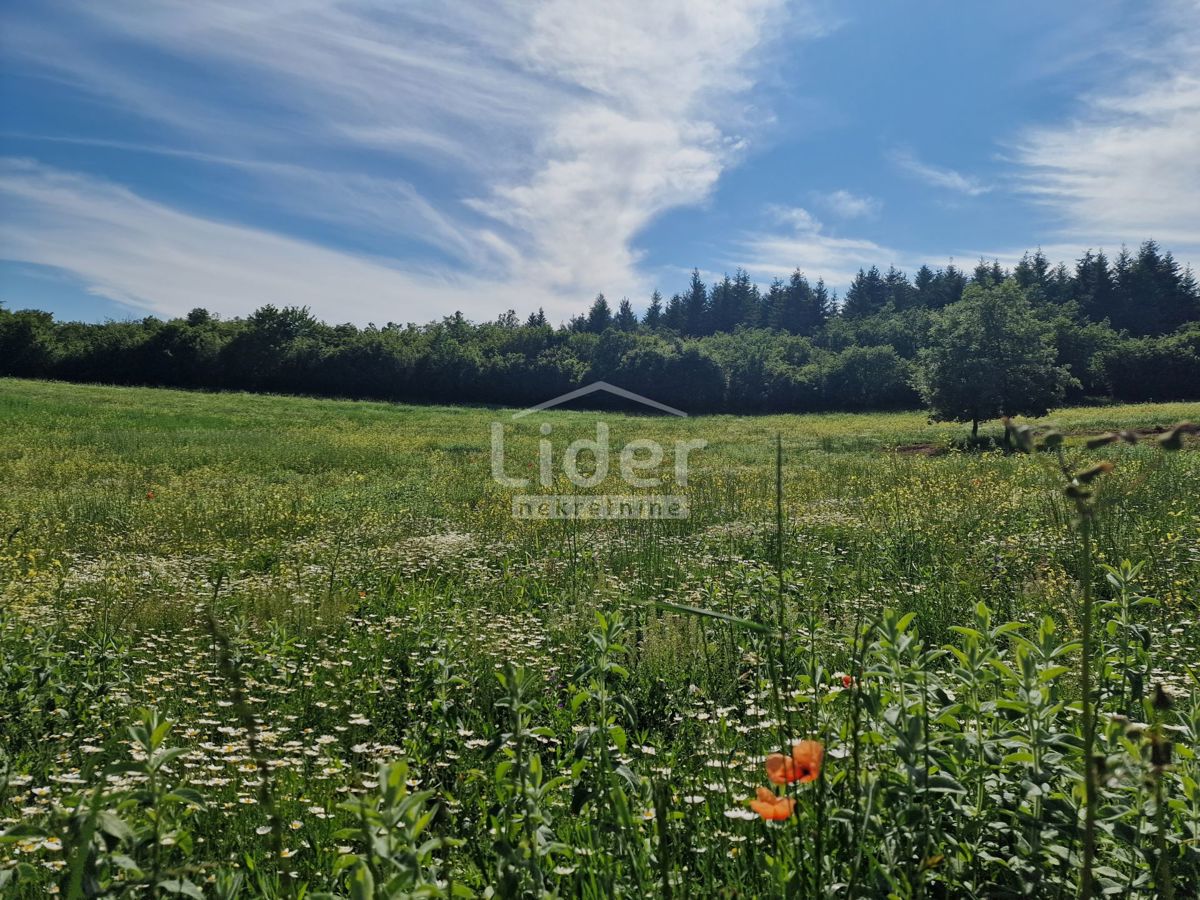 Zemljišče Markovići, 10858m2