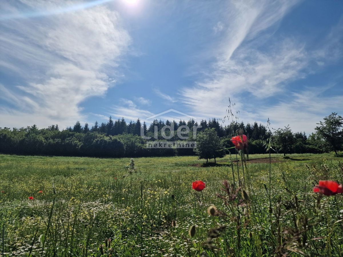 Zemljišče Markovići, 10858m2