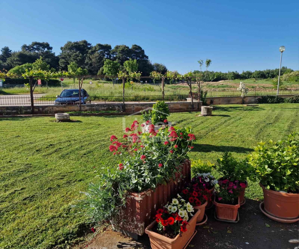 Hiša Višnjan, 677m2