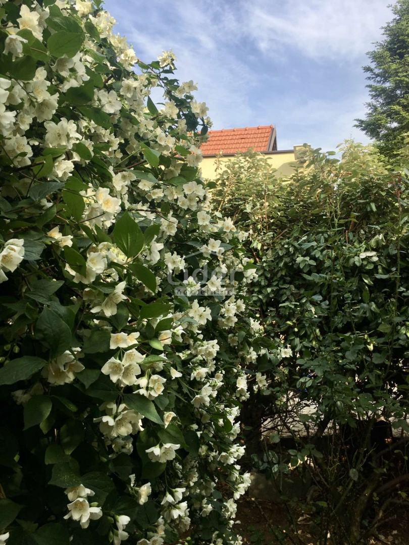 Hiša Grobnik, 198m2