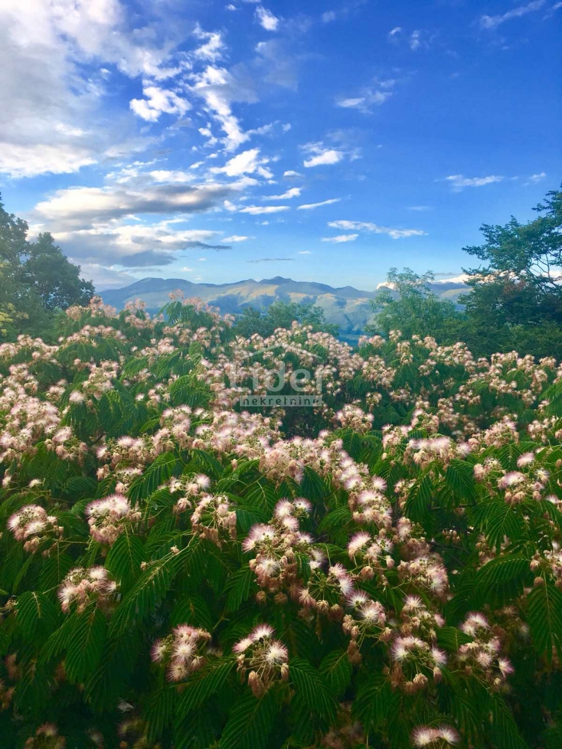 Hiša Grobnik, 198m2