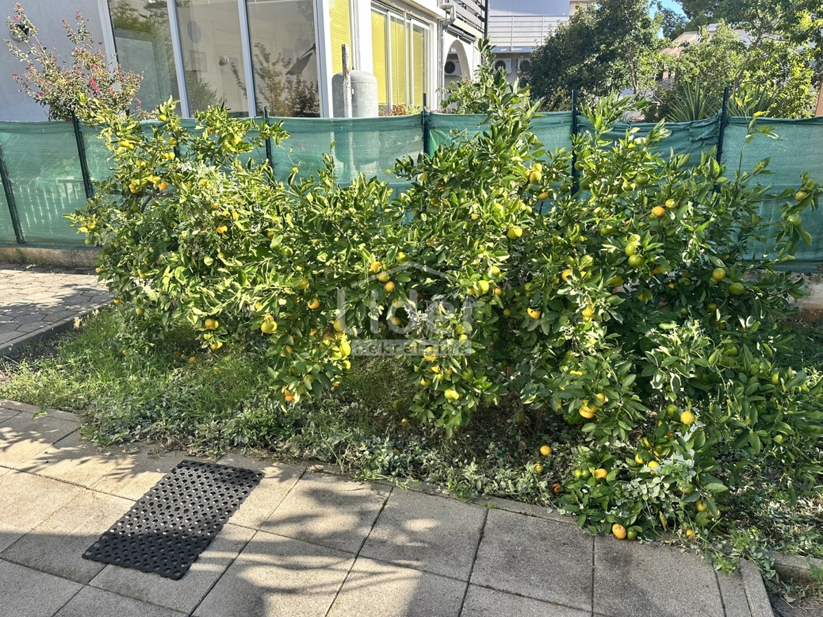 Hiša Kruševo, 120m2