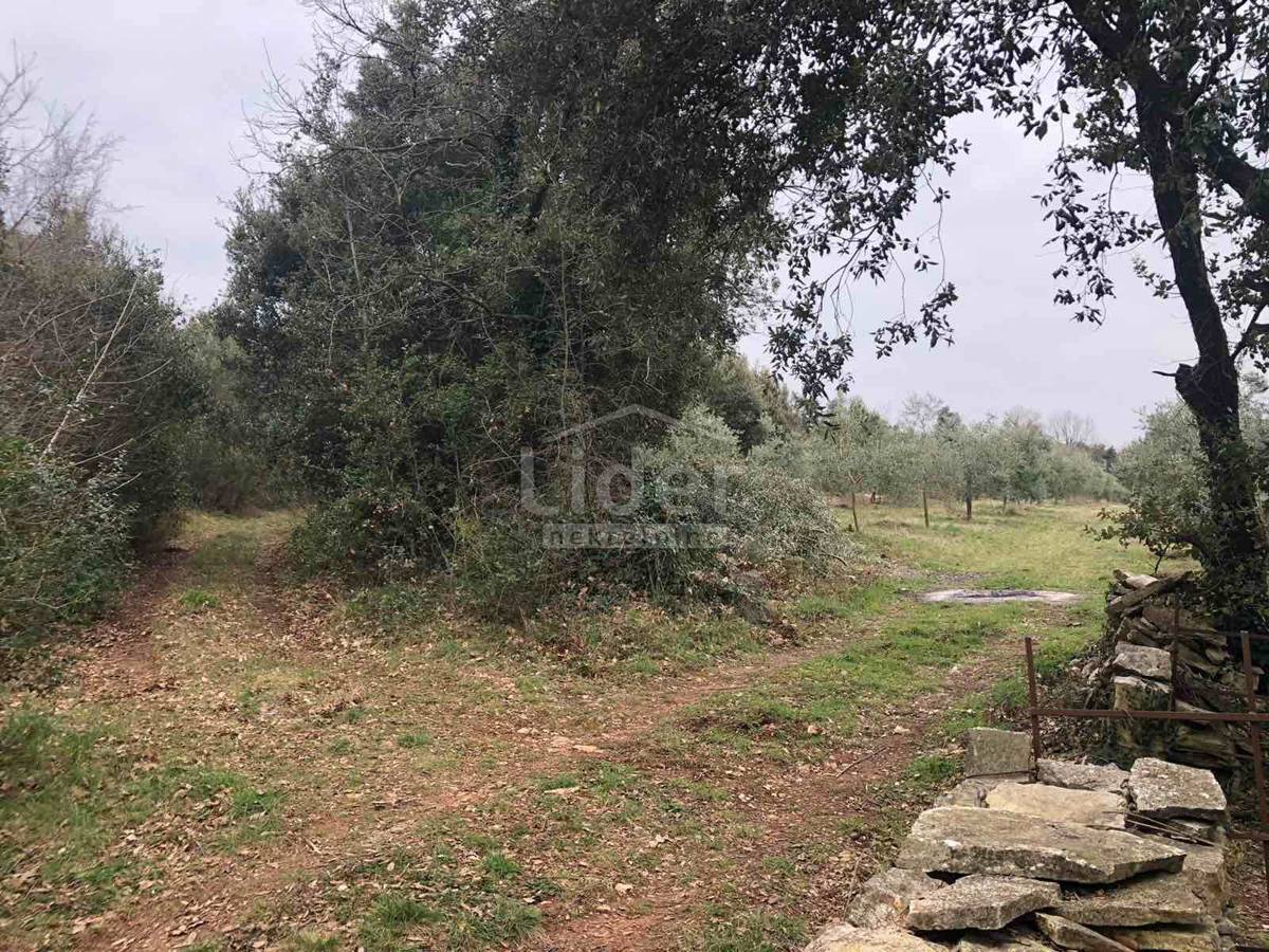 Zemljišče Peruški, 2118m2