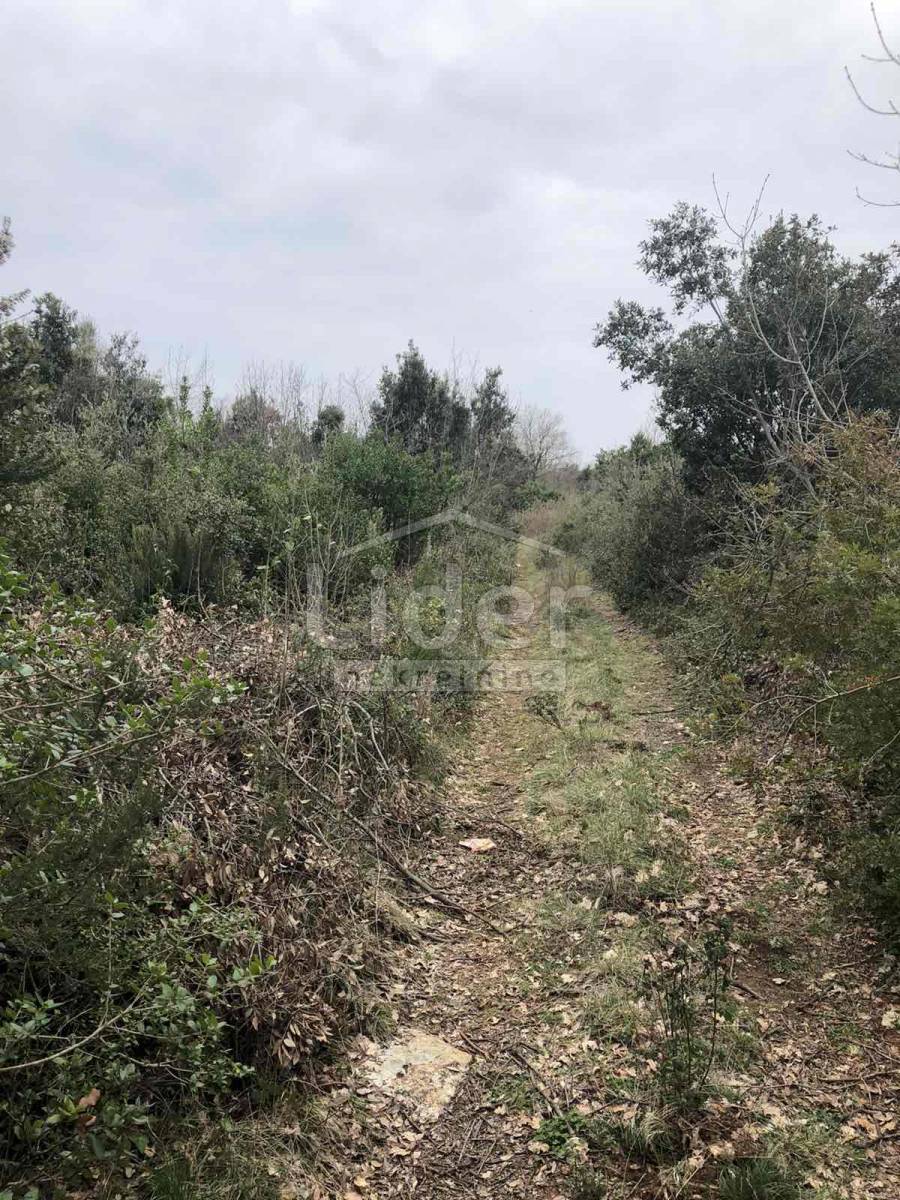 Zemljišče Peruški, 2118m2