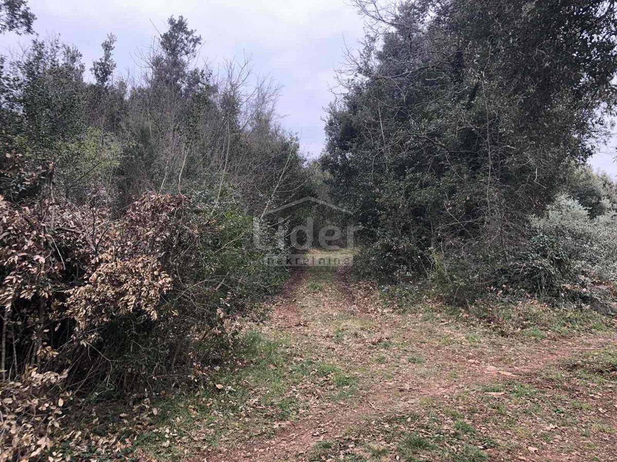 Zemljišče Peruški, 2118m2