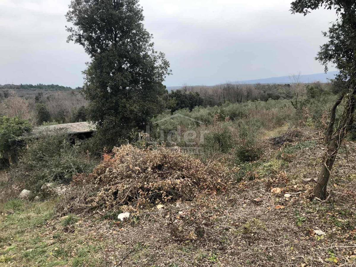 Zemljišče Peruški, 2118m2