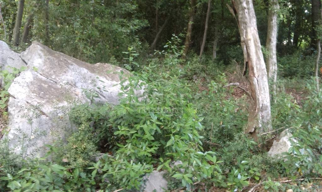 Zemljišče Ika, 2800m2