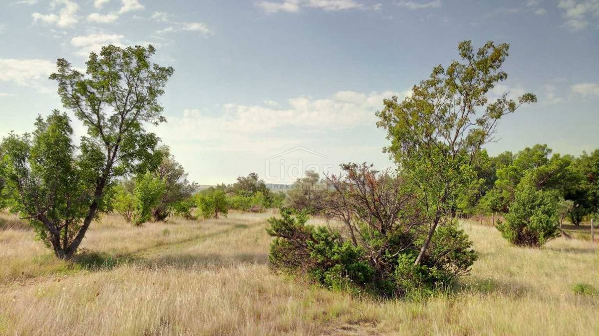 Zemljišče Seline, 1347m2