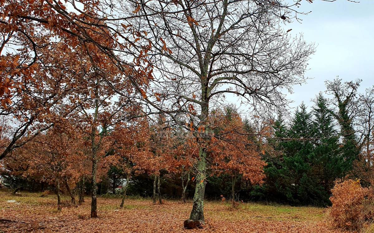 Zemljišče Poreč, 2491m2