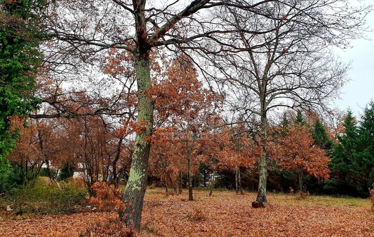 Zemljišče Poreč, 2491m2