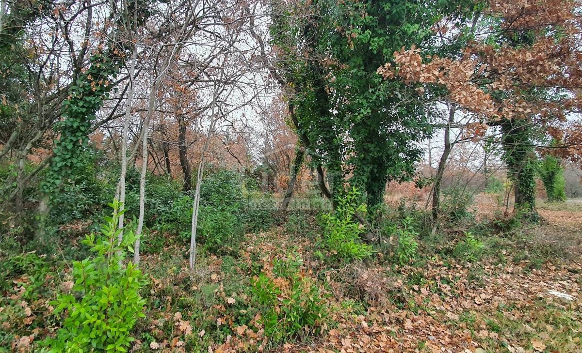 Zemljišče Poreč, 2491m2