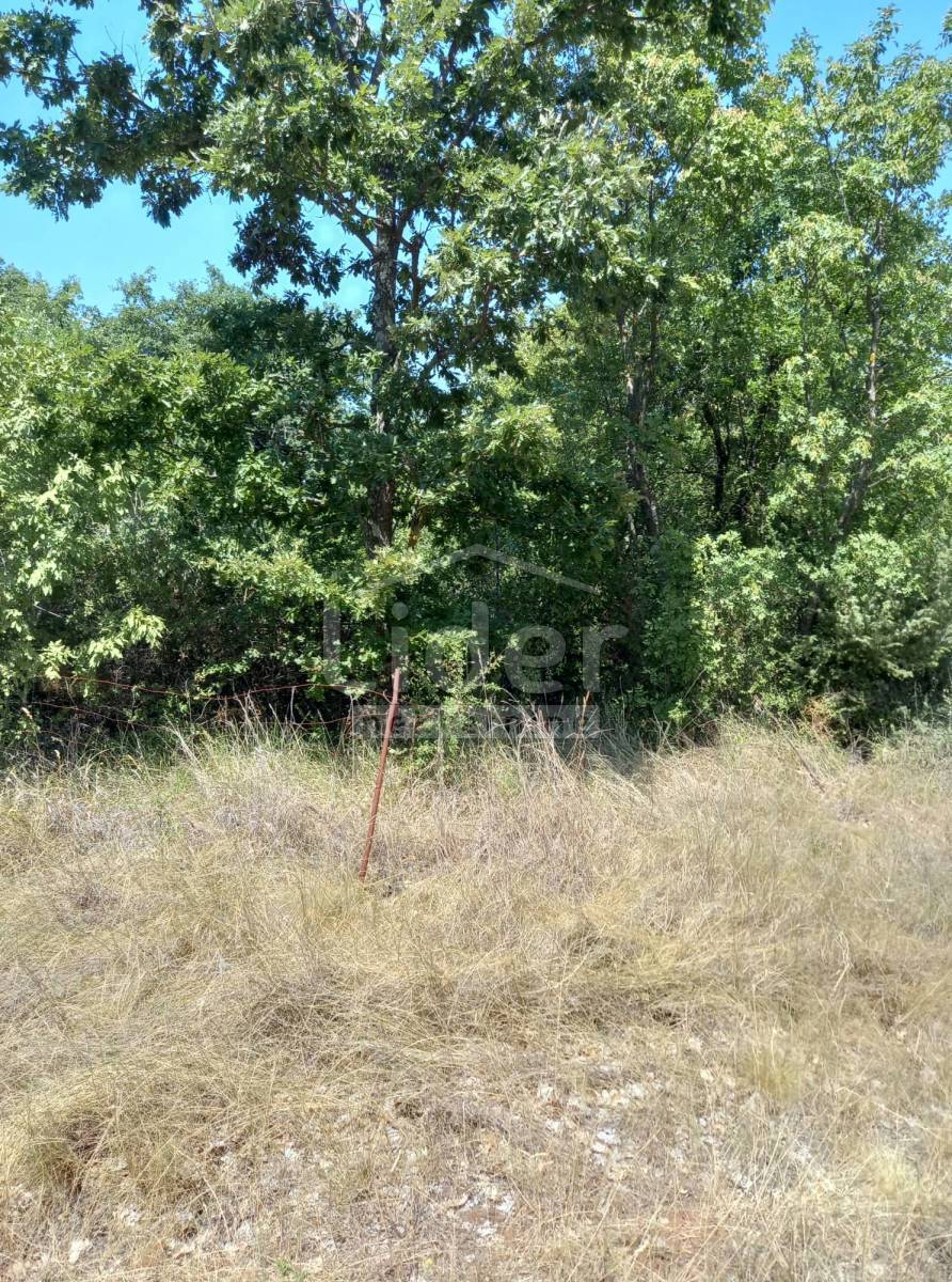 Zemljišče Bibići, 1100m2