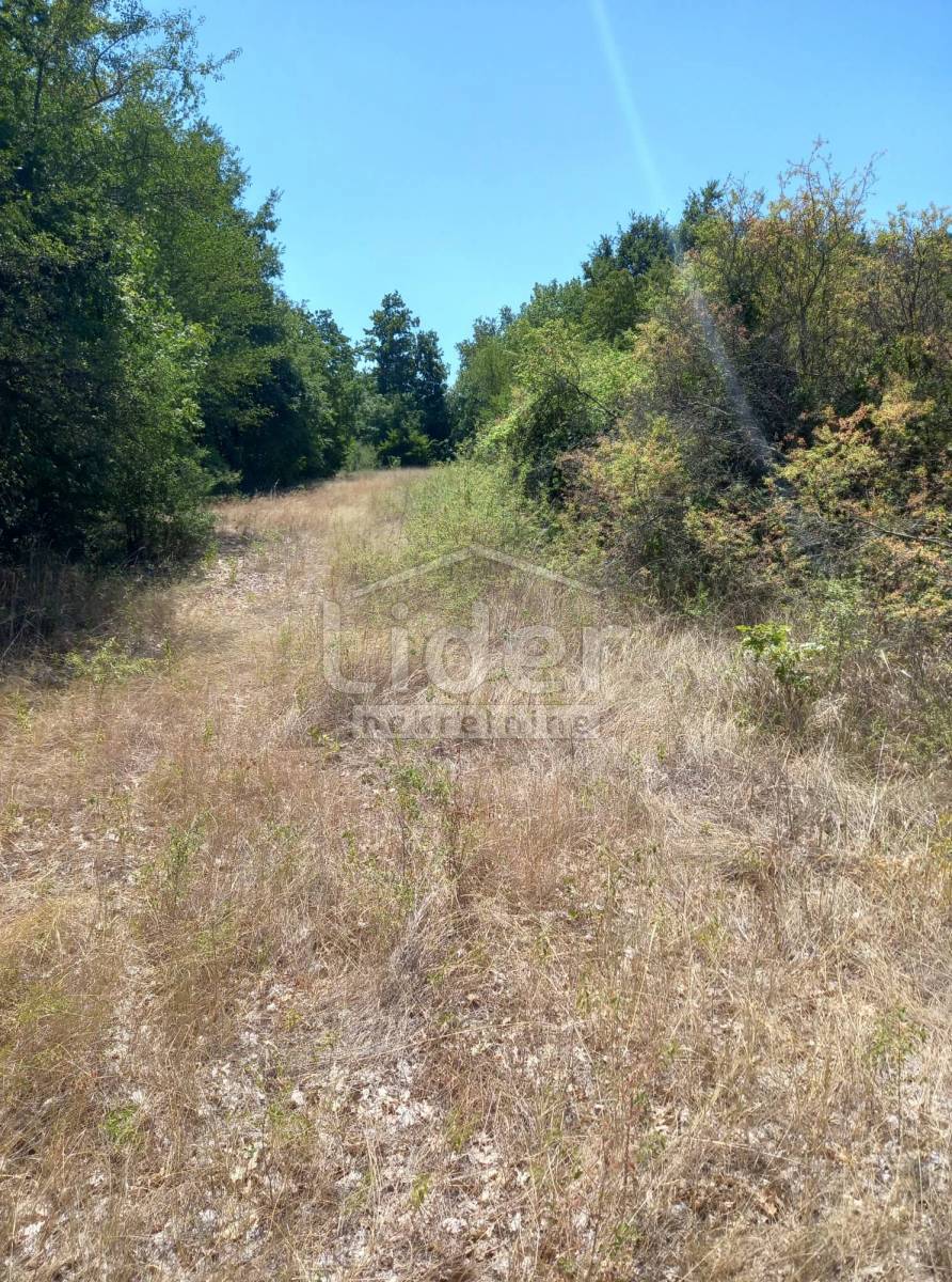 Zemljišče Bibići, 1100m2
