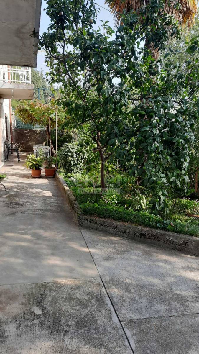 Hiša Krnjevo, 200m2