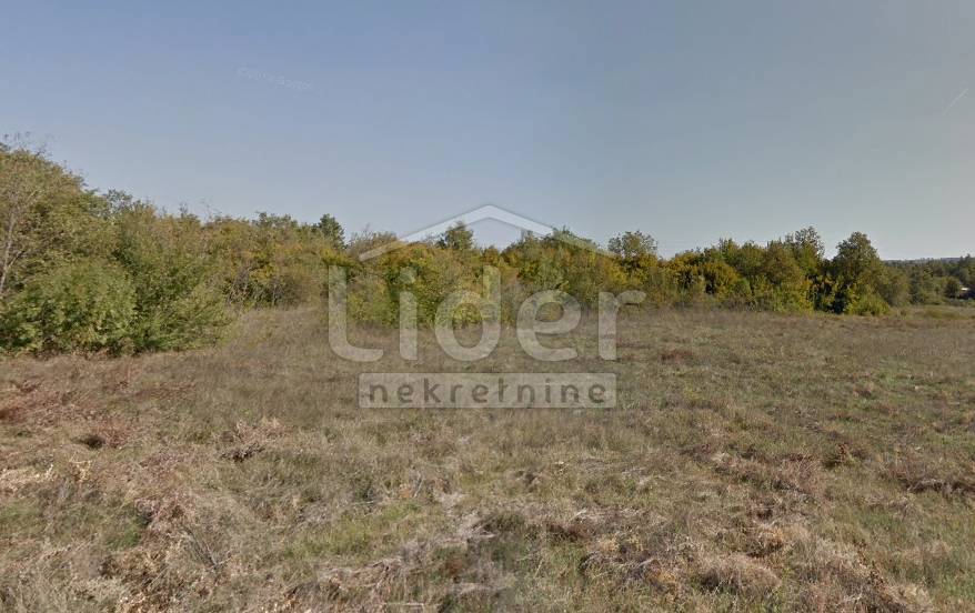 Zemljišče Tar, 12000m2