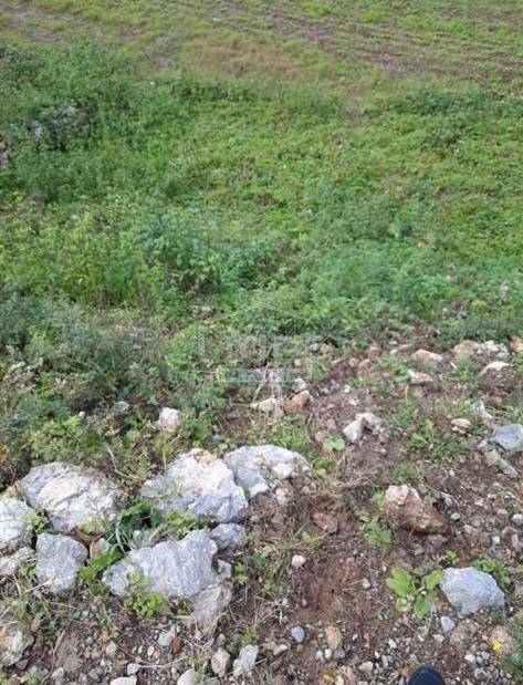 Zemljišče Lipa, 424m2