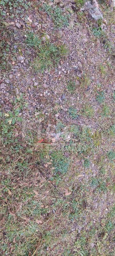 Zemljišče Lipa, 424m2