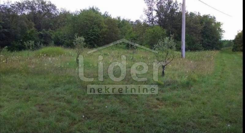 Hiša Oprtalj, 160m2